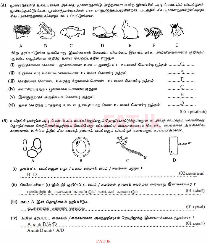 National Syllabus : Ordinary Level (O/L) Science - 2013 December - Paper II (தமிழ் Medium) 2 1021