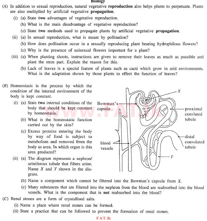 உள்ளூர் பாடத்திட்டம் : சாதாரண நிலை (சா/த) விஞ்ஞான - 2011 டிசம்பர் - தாள்கள் II (English மொழிமூலம்) 5 1