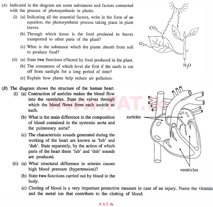 National Syllabus : Ordinary Level (O/L) Science - 2011 December - Paper II (English Medium) 6 1
