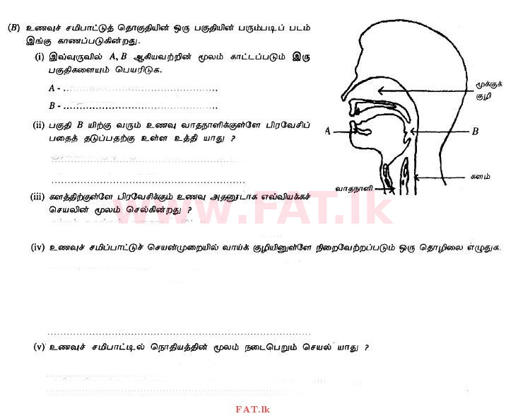உள்ளூர் பாடத்திட்டம் : சாதாரண நிலை (சா/த) விஞ்ஞான - 2011 டிசம்பர் - தாள்கள் II (தமிழ் மொழிமூலம்) 2 2