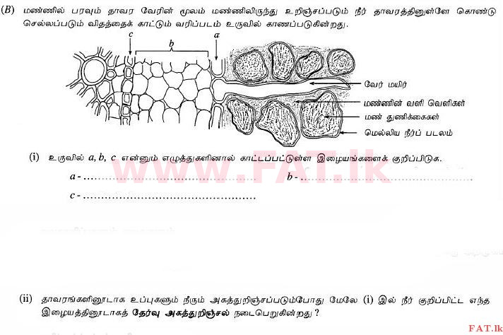 உள்ளூர் பாடத்திட்டம் : சாதாரண நிலை (சா/த) விஞ்ஞான - 2010 டிசம்பர் - தாள்கள் II (தமிழ் மொழிமூலம்) 2 4