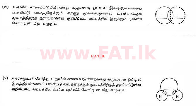 දේශීය විෂය නිර්දේශය : සාමාන්‍ය පෙළ (O/L) විද්‍යාව - 2010 දෙසැම්බර් - ප්‍රශ්න පත්‍රය II (தமிழ் මාධ්‍යය) 3 3