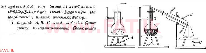 දේශීය විෂය නිර්දේශය : සාමාන්‍ය පෙළ (O/L) විද්‍යාව - 2010 දෙසැම්බර් - ප්‍රශ්න පත්‍රය II (தமிழ் මාධ්‍යය) 8 3