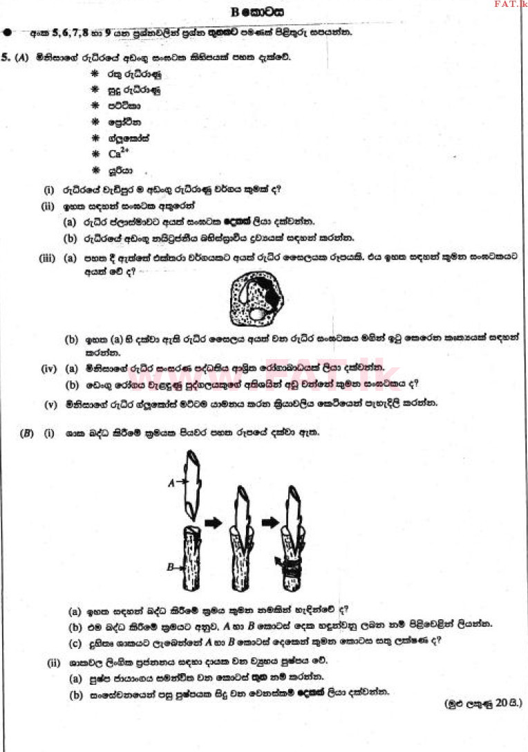 உள்ளூர் பாடத்திட்டம் : சாதாரண நிலை (சா/த) விஞ்ஞான - 2017 டிசம்பர் - தாள்கள் II (සිංහල மொழிமூலம்) 5 1