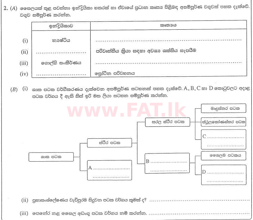National Syllabus : Ordinary Level (O/L) Science - 2020 March - Paper II (සිංහල Medium) 2 1