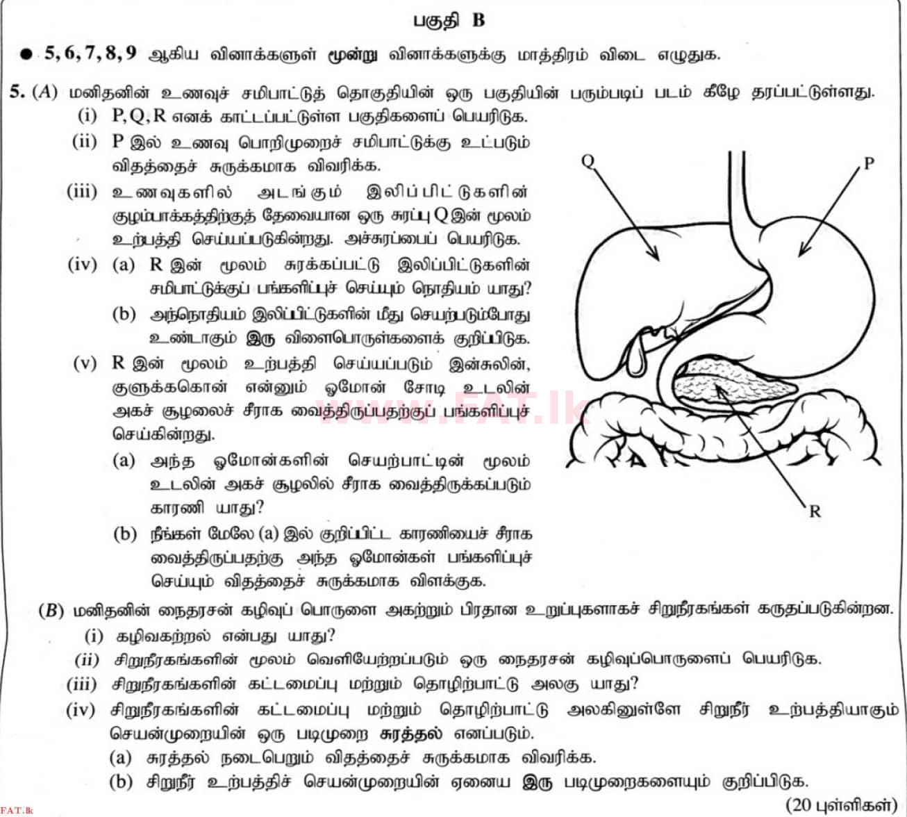 உள்ளூர் பாடத்திட்டம் : சாதாரண நிலை (சா/த) விஞ்ஞான - 2020 மார்ச் - தாள்கள் II (தமிழ் மொழிமூலம்) 5 1