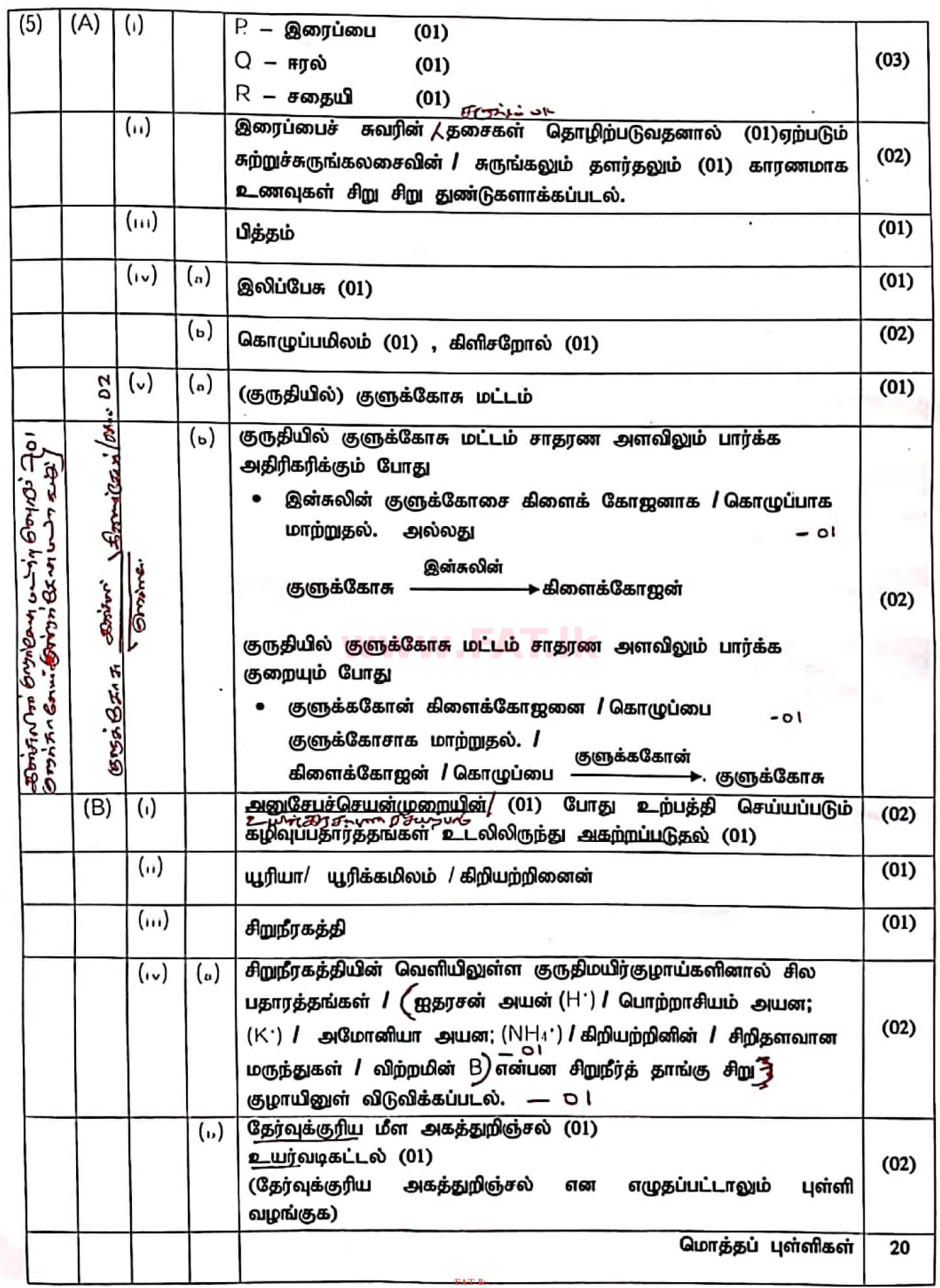 உள்ளூர் பாடத்திட்டம் : சாதாரண நிலை (சா/த) விஞ்ஞான - 2020 மார்ச் - தாள்கள் II (தமிழ் மொழிமூலம்) 5 4544