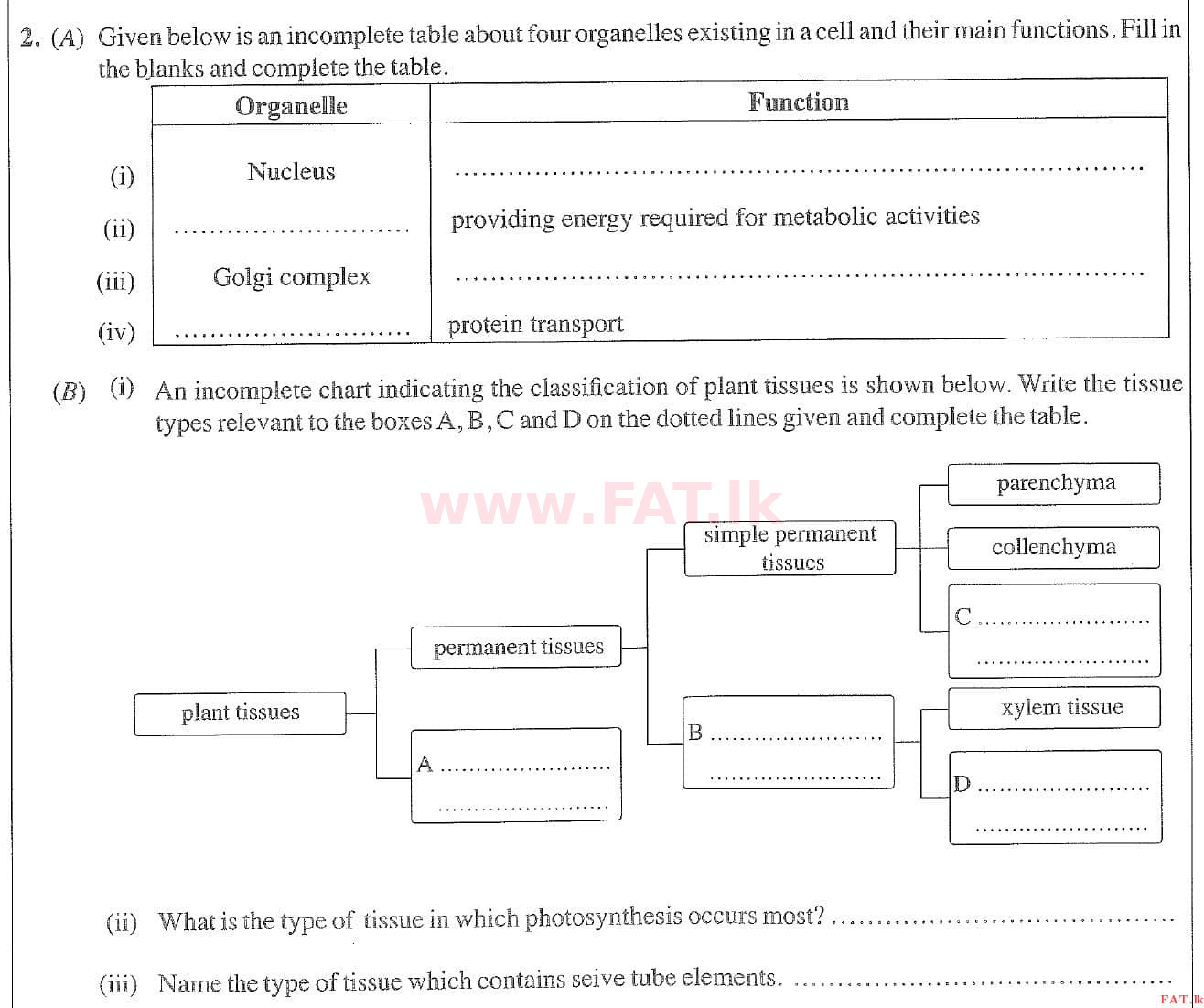 National Syllabus : Ordinary Level (O/L) Science - 2020 March - Paper II (English Medium) 2 1