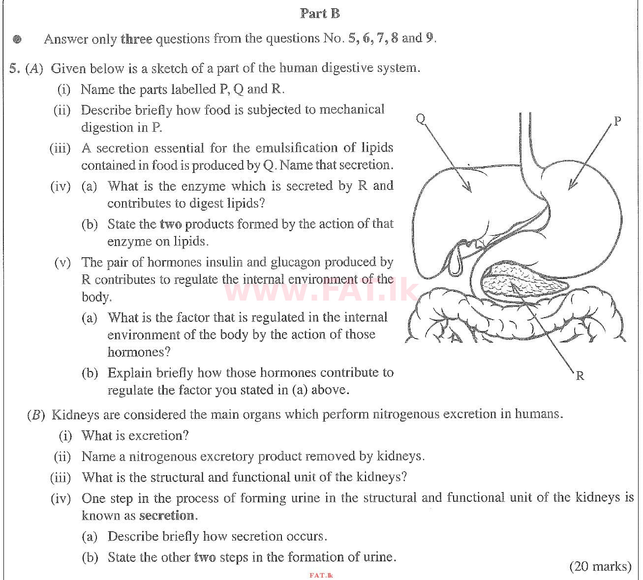 National Syllabus : Ordinary Level (O/L) Science - 2020 March - Paper II (English Medium) 5 1