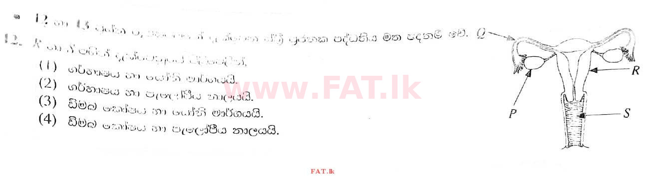 உள்ளூர் பாடத்திட்டம் : சாதாரண நிலை (சா/த) விஞ்ஞான - 2021 மே - தாள்கள் I (සිංහල மொழிமூலம்) 12 1