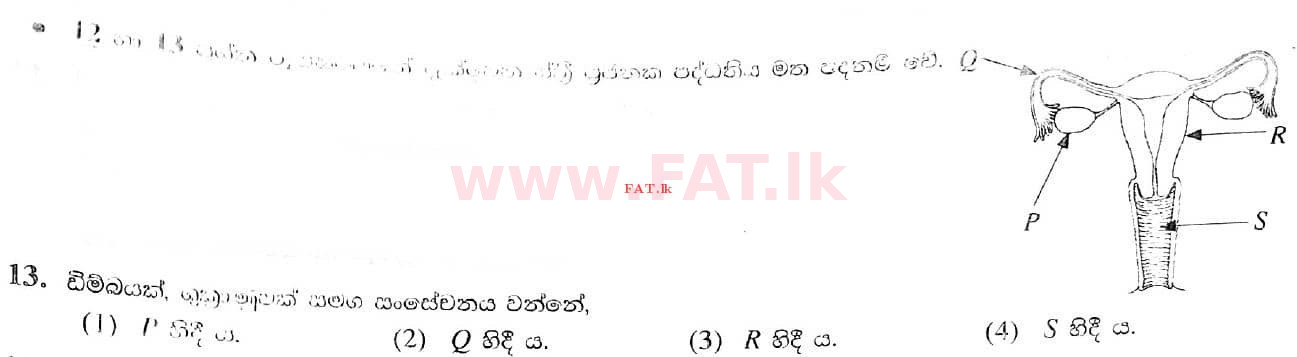 உள்ளூர் பாடத்திட்டம் : சாதாரண நிலை (சா/த) விஞ்ஞான - 2021 மே - தாள்கள் I (සිංහල மொழிமூலம்) 13 1