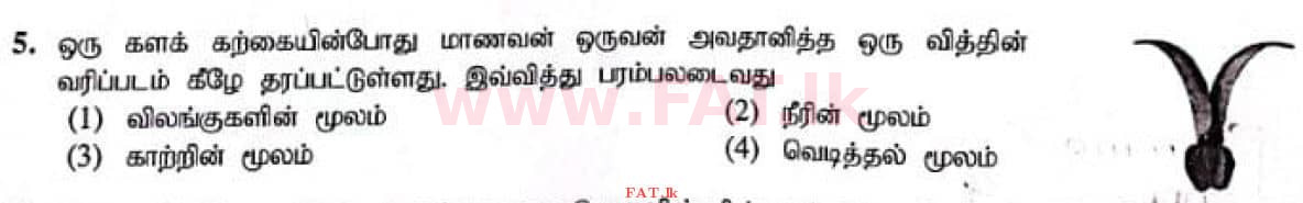 දේශීය විෂය නිර්දේශය : සාමාන්‍ය පෙළ (O/L) විද්‍යාව - 2021 මැයි - ප්‍රශ්න පත්‍රය I (தமிழ் මාධ්‍යය) 5 1