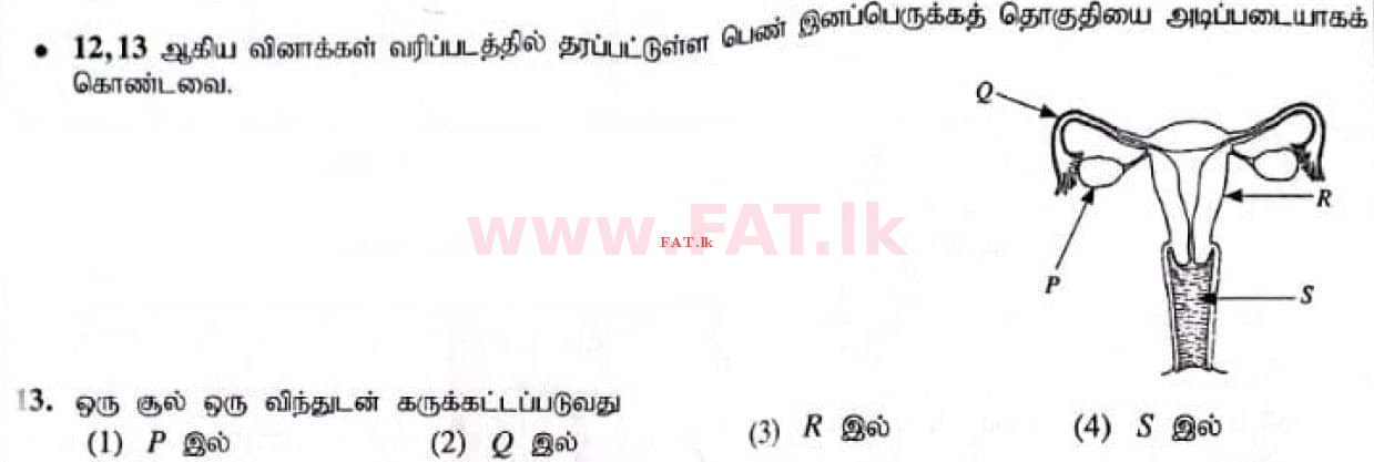 உள்ளூர் பாடத்திட்டம் : சாதாரண நிலை (சா/த) விஞ்ஞான - 2021 மே - தாள்கள் I (தமிழ் மொழிமூலம்) 13 1