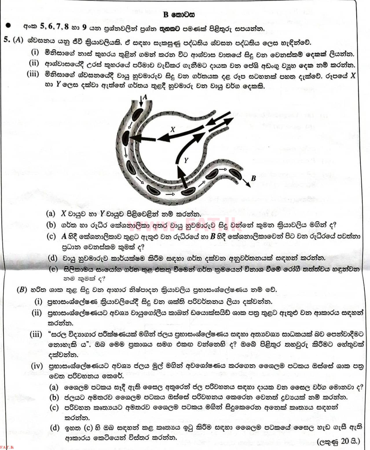 National Syllabus : Ordinary Level (O/L) Science - 2021 May - Paper II (සිංහල Medium) 5 1