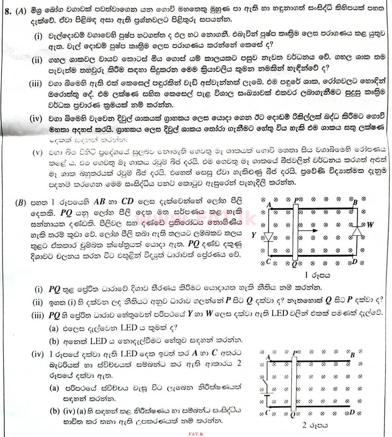 National Syllabus : Ordinary Level (O/L) Science - 2021 May - Paper II (සිංහල Medium) 8 1