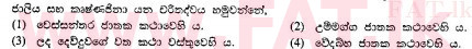உள்ளூர் பாடத்திட்டம் : சாதாரண நிலை (சா/த) சிங்கள இலக்கியம் - 2010 டிசம்பர் - தாள்கள் I (සිංහල மொழிமூலம்) 31 2