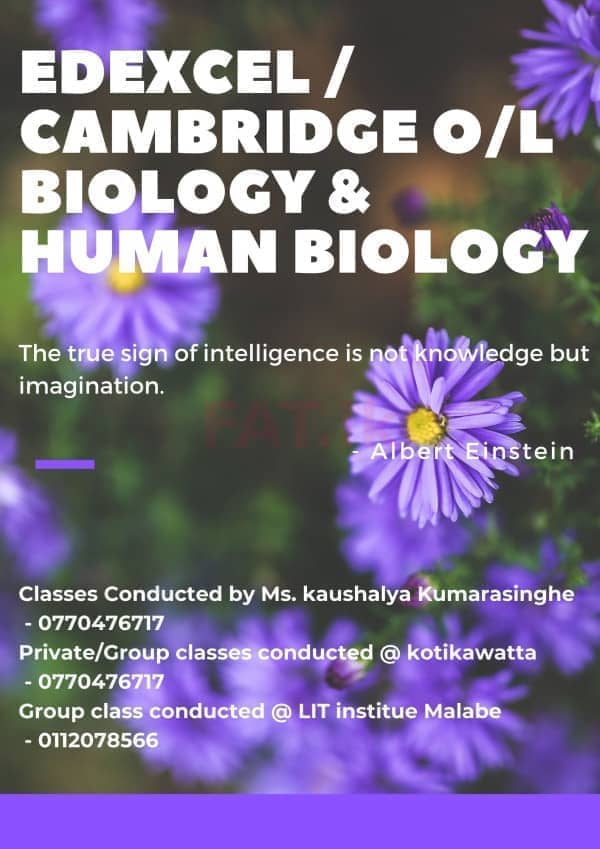 Edexcel / Cambridge OL Biologym2