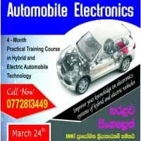 School of Embedded Electronicsmt3