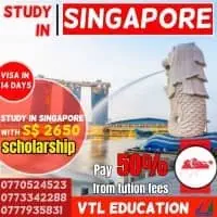 VTL Management Services - Study Abroad