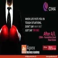 Apex Business Academymt3