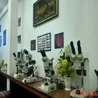International Gemological Academy (IGA)mt2