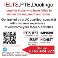 IELTS/PTE/Duolingo training by a UK qualified, experienced coach. 24/7 online support via LMSmt3