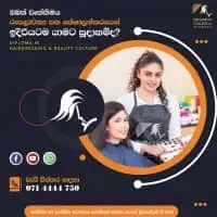 Dreamron College of Art & Beautymt3