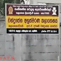 Music Classes - Western and Eastern Musicmt3