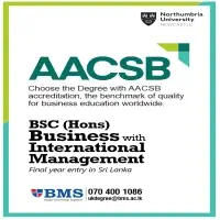 BSc (Hons) Business with International Management