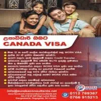 Study - Work - Migrate to Australia, Canada & New Zealandmt2