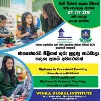 Professional Diploma in Teaching