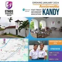 Private London O/L and A/L full time coursemt2