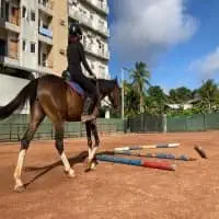 Premadasa Riding පාසල - නුගේගොඩ