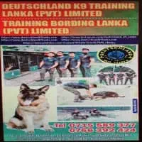 Deutschland K9 Training Lanka - Dog Training Courses