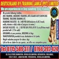 Deutschland K9 Training Lanka - Dog Training Coursesmt2