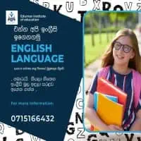 Grade 6 - 11 Online English Classes