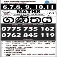 Maths for Grade 1-13 (Sinhala and English Medium) Online and Home Visited - Theory, Revision and Paper