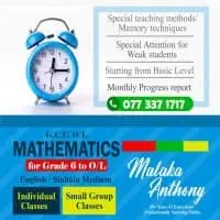 Maths Class Grade 6-11 Individual Tuition / Home Visit
