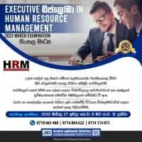 Executive Diploma in Human Resource Management