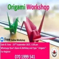 Origami Workshop