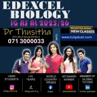 London O/L, A/L Classes 2025 Edexcel & Cambridge