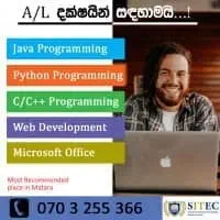 Computer Programming - Python, Java, C/C++, Web Development