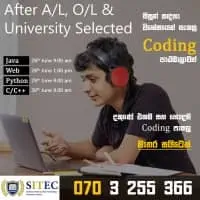 Computer Programming - Java, C/C++, Python, Web Developmentmt3