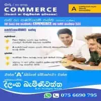 Sinhala medium A/L Accounting Classes / O/L Business Studies and Accounting