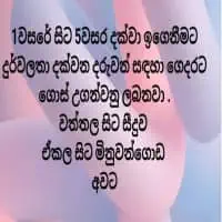 වසර 1 සිට වසර 5 සිසුන් සඳහා පන්ති