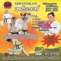 Shotokan Karatemt2