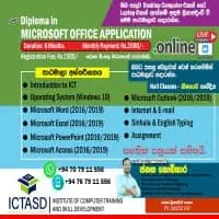 Diploma in Microsoft Office Application