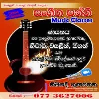 Online Music Classes - School syllabus, Singing, Guitar, Violin, Organ