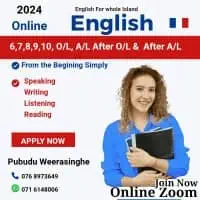 Online Zoom - Professional English