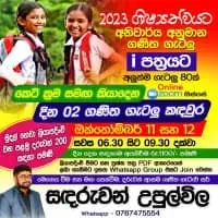 ශිෂ්‍යත්ව විභාගය පන්ති - ගණිතය